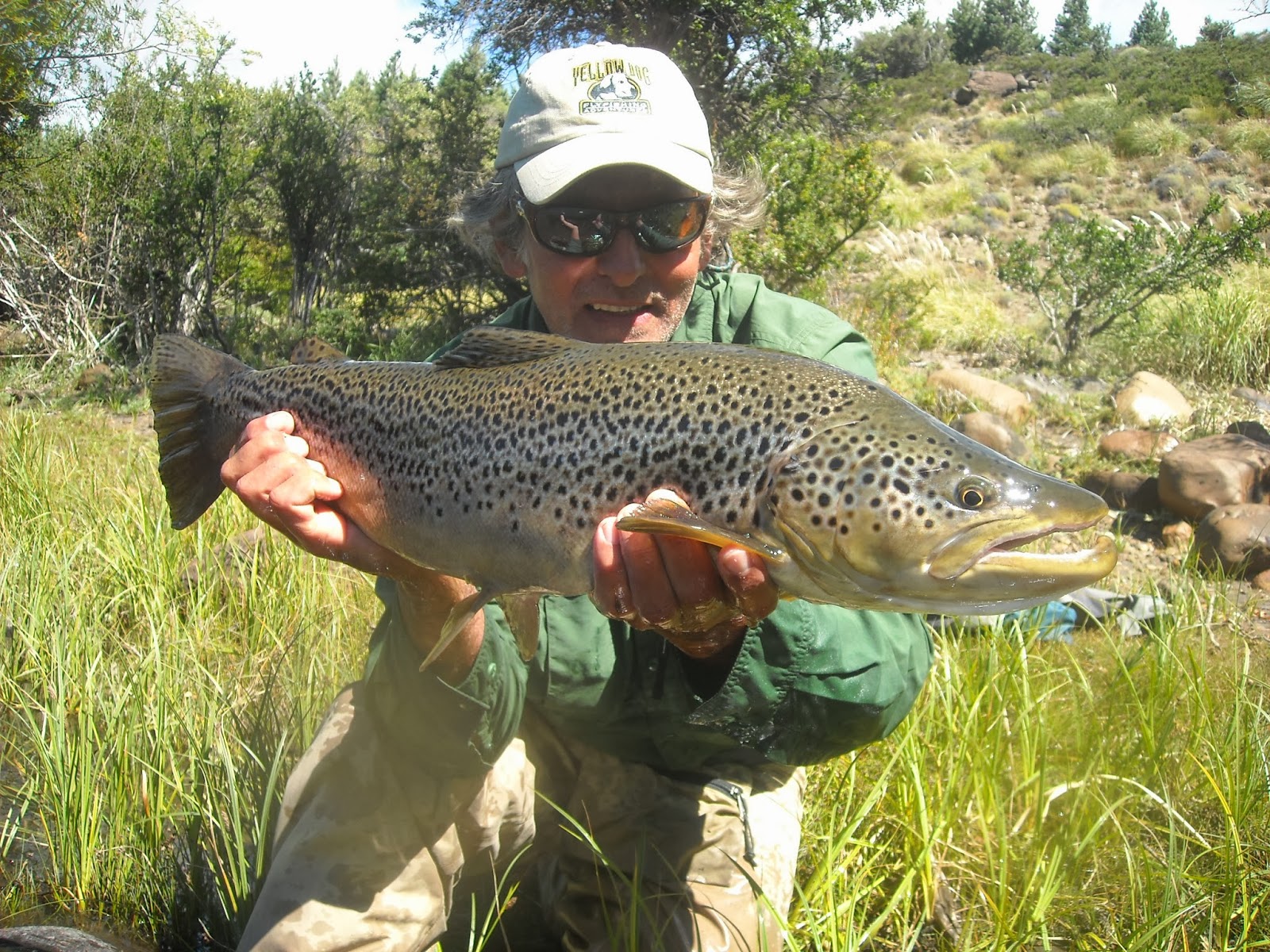 First Cast Fly Fishing: DIY Fly Fishing Patagonia Argentina and Chile: New  Hampshire Young Buc's Walk, Float, Travel