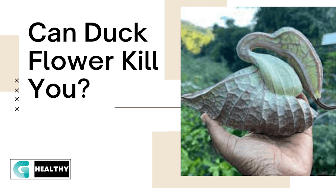 Duck Flower Danger: The Hidden Hazard in Your Yard