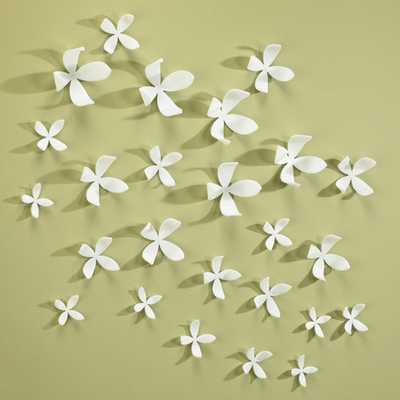 Umbra Wall Flowers. from the wallflowers using