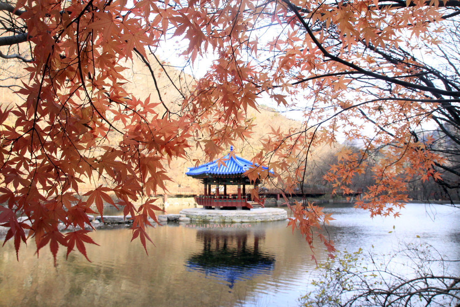 Naejangsan tempat terbaik menikmati musim  gugur  di Korea 