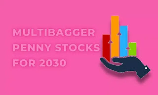 Multibagger Penny stocks for 2030