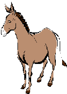 clip_image004