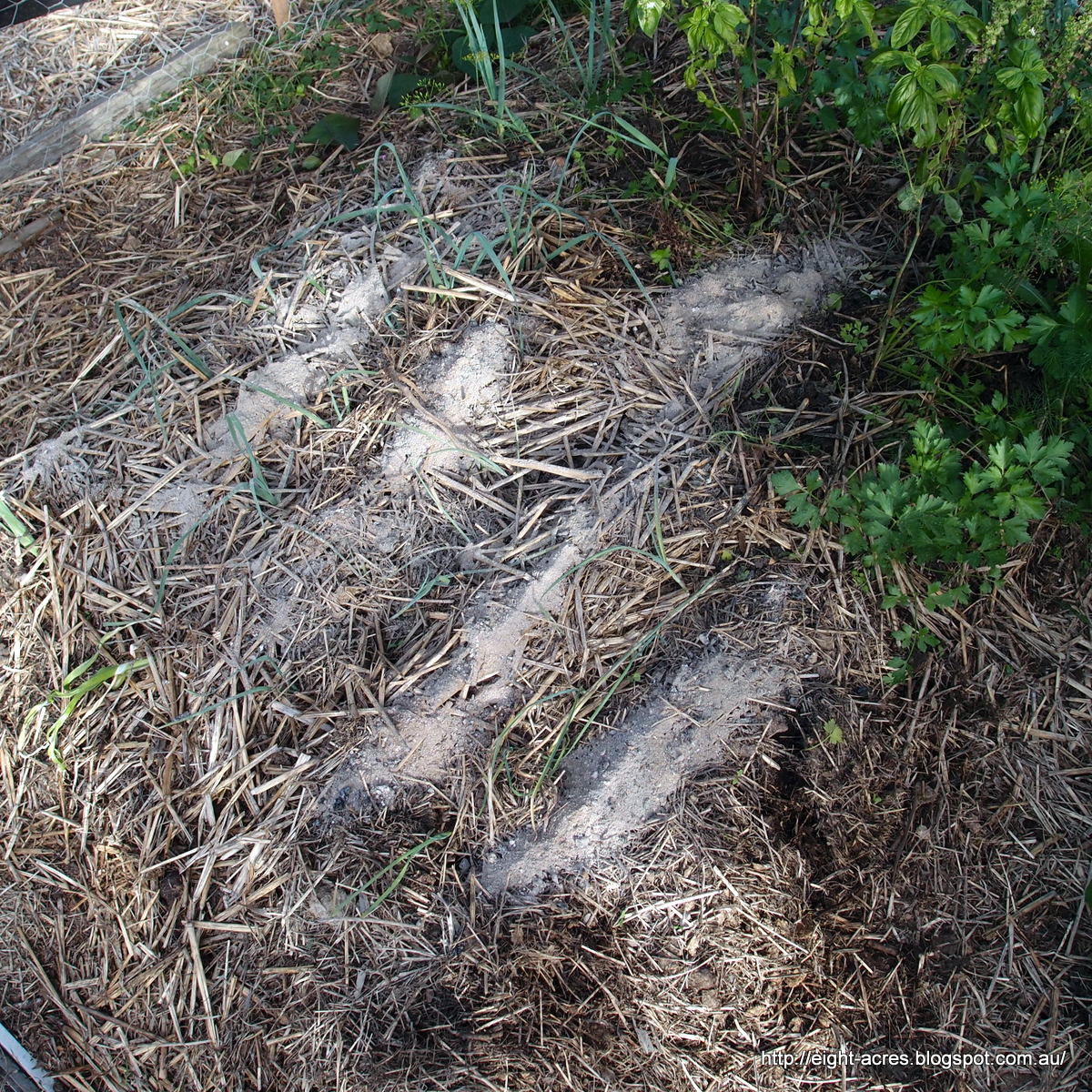 eight acres: using wood ash