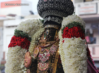 Kodai UTsavam,Thiruvallikeni, Sri PArthasarathy Perumal, Temple, 2017, Video, Divya Prabhandam,Utsavam,