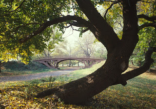 New York Central Park