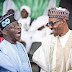 Yorubas are solidly behind Buhari – Tinubu