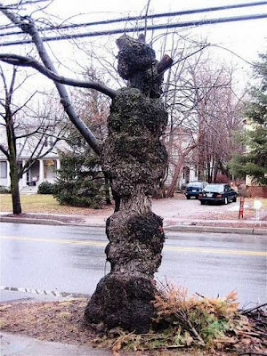 Funny trees