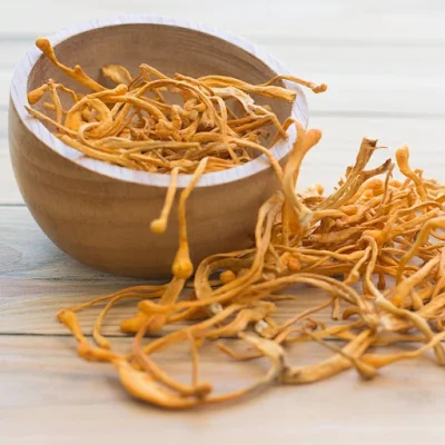 Buy Cordyceps Mushroom Products in Louisiana