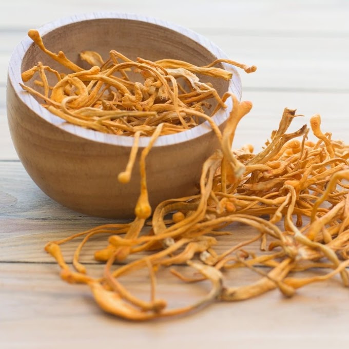 Buy Cordyceps Mushroom Products in Louisiana | Cordyceps Mushroom Company in Louisiana