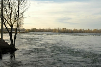  Preocupa el ecosistema del río Limay