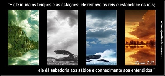 capa pra 4