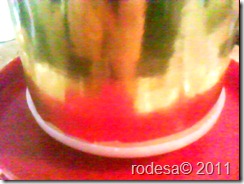 DSC01455
