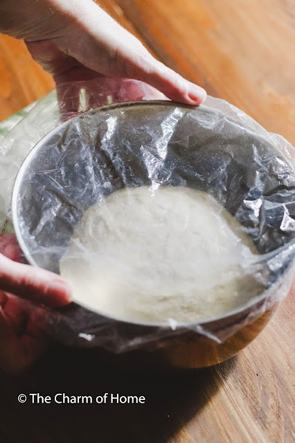 Pizza Dough From Scratch