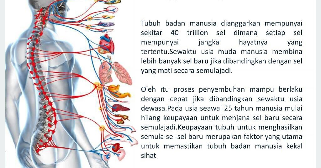 AG CERA  AG NUTRITION: Bagaimana agcera bantu pengguna