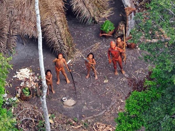 #Amazônia - Meio ambiente: Garimpo aterroriza indígenas no Vale do Javari