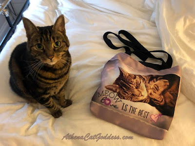 cat sitting with tote bag