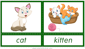 Animals and their babies -- cat - kitten -- printable flashcards