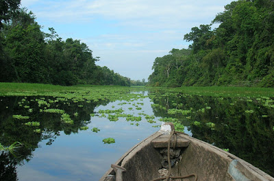 Parque Nacional de Río Abiseo - Turismo en Tarapoto