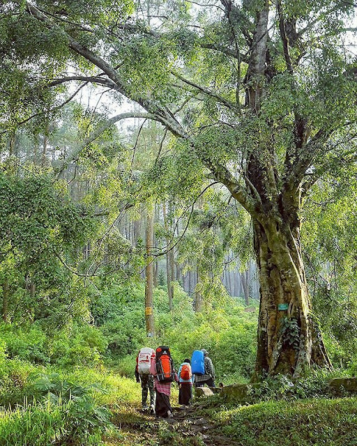 foto pendakian gunung puntang bandung