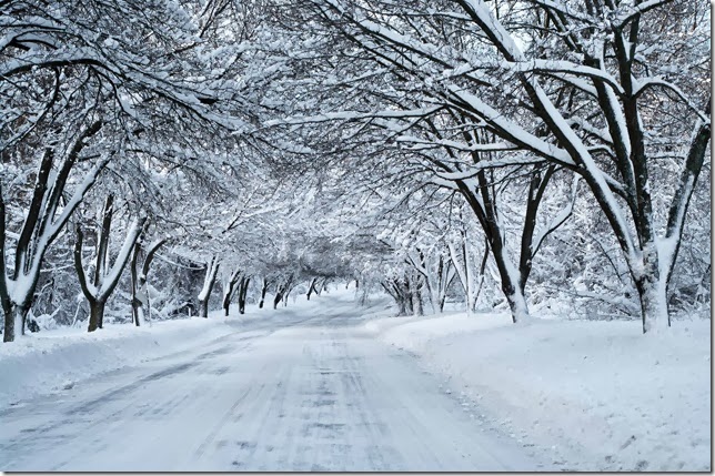 snow covered path