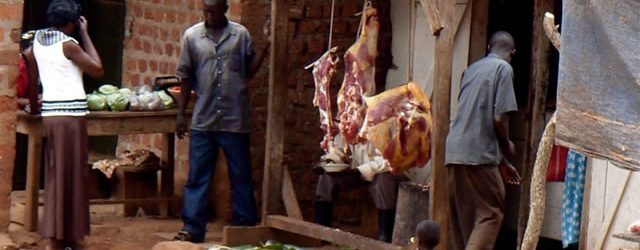 Ministério ordena o encerramento de todos os mercados de gado após um surto de febre aftosa