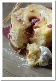 cheesecake5B