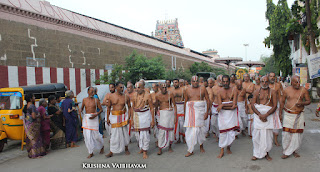 Sri Theliya Singar,Avani, Swathi ,Parthasarathy Perumal Temple,Purappadu,2016, Video, Divya Prabhandam,Sri Parthasarathy Perumal, Triplicane,Thiruvallikeni,Utsavam,