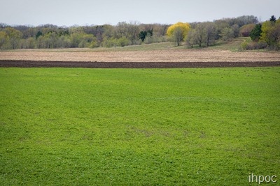 IMG_8588 copy