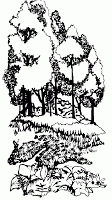Celebrate Beltane