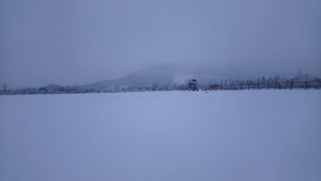 Sauerland wandern Wetter blog Winterberg Schmallenberg Hochtour Robert-Kolb-Weg X6 Rothaarsteig Grenzweg Loipe