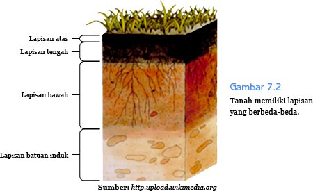 Susunan Tanah  dan Jenis Jenis Tanah  Seputar Pendidikan SD