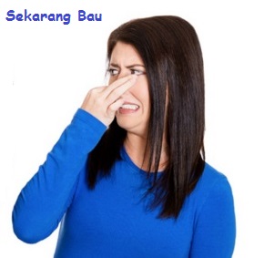 gambar wanita tutup hidung karena bau kentut