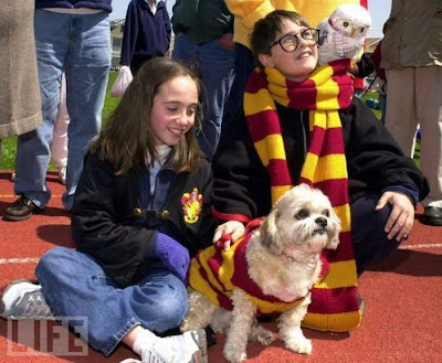 Harry Potter Seen On www.coolpicturegallery.us