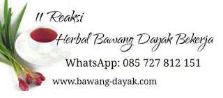 Reaksi Bawang Dayak