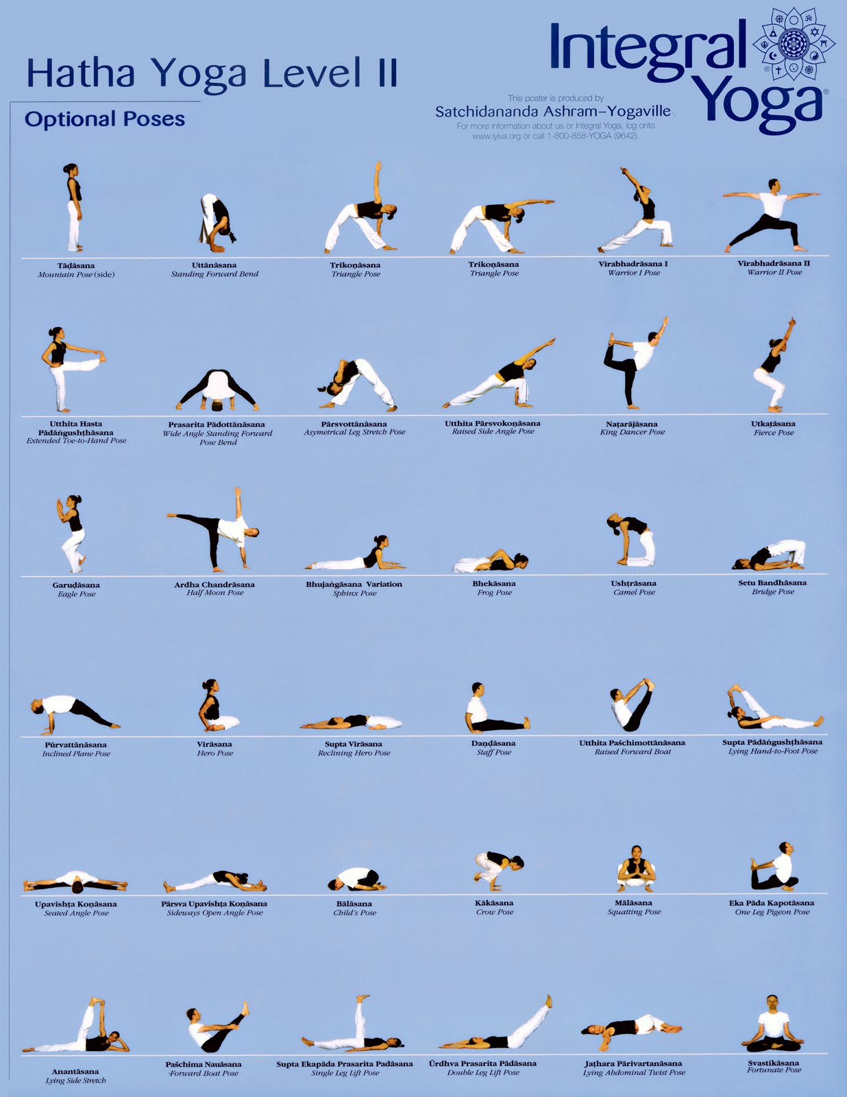 Your Yoga Class