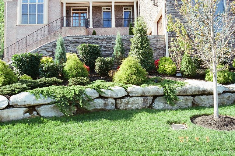 landscape ideas small yard Front Yard Landscaping Ideas | 772 x 512