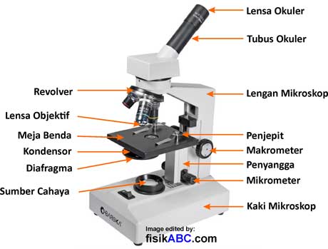 Hasil gambar untuk GAMBAR MIKROSKOP