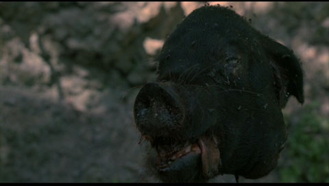 piggy from lord of the flies now. Ralph and Piggy#39;s group visits