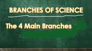 The Major Branches of Science