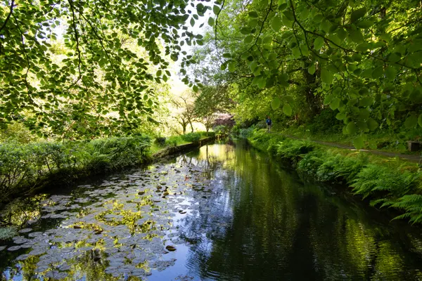 Docton Mill Tearooms & Gardens, Hartland. Photo copyright Pat Adams North Devon Focus