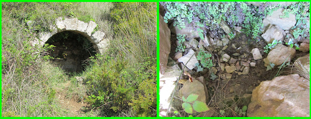 RUTA DELS CASTELLS DEL GAIÀ CASTELLS DE SELMELLA I SABURELLA, font a la serralada de Selmella - Pont de l'Armentera - Alt Camp