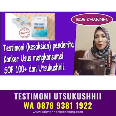 Obat Herbal Usus Buntu Untuk Anak Utsukushhii AFC