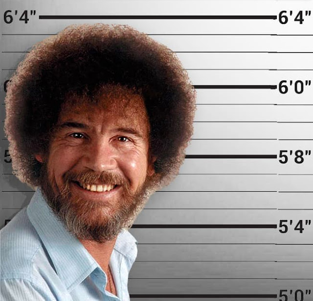 Bob Ross mugshot