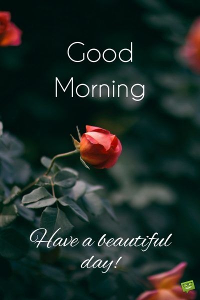 good morning wishes images for instagram, good morning instagram story, good morning instagram images, good morning post pictures, good morning instagram hashtags, good morning quotes, morning quotes for instagram story, good morning posts for instagram, morning tea instagram, good morning image 2020 hd, good morning all images, amazing good morning images hd, good morning images with quotes, good morning images with flowers hd, good morning image 2019, good morning images hd 1080p download, good morning images with rose flowers