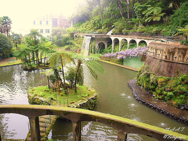 Funchal (Madeira).