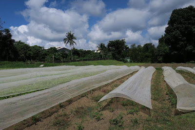 farm tour tagaytay