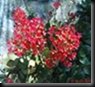 clip_image016