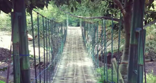 jembatan gantung di nasi liwet asep stroberi