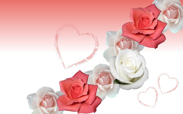 Valentine Love White Rose Flower Wallpaper