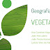 GEOGRAFIA URBANA - VEGETAÇÃO